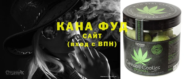 spice Дмитриев