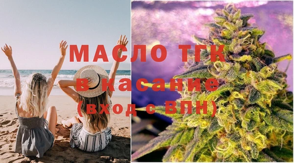 spice Дмитриев