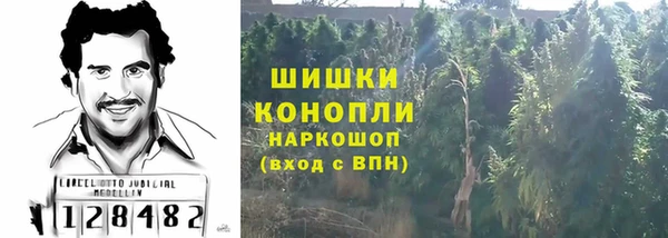 spice Дмитриев