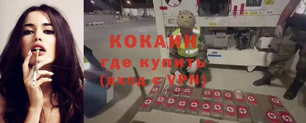 spice Дмитриев