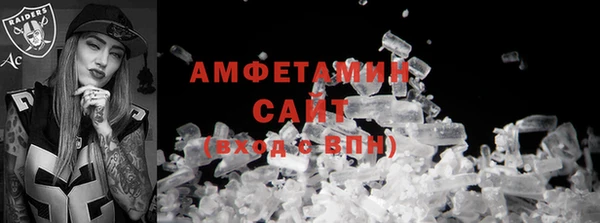 spice Дмитриев