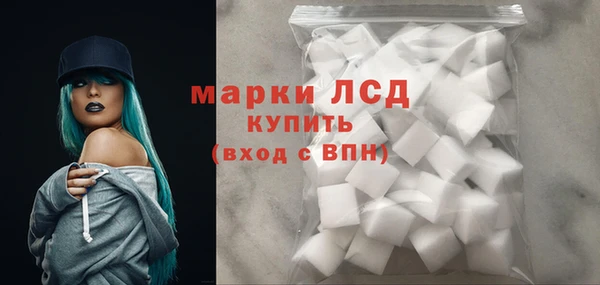 spice Дмитриев
