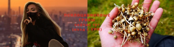MDMA Premium VHQ Дмитровск