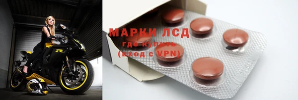 spice Дмитриев