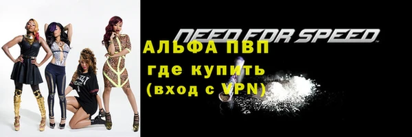 spice Дмитриев