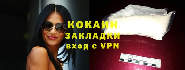 spice Дмитриев