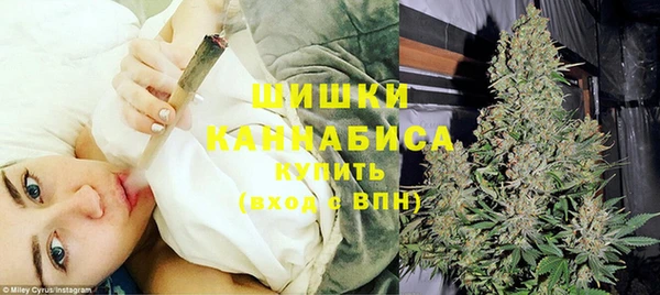 spice Дмитриев