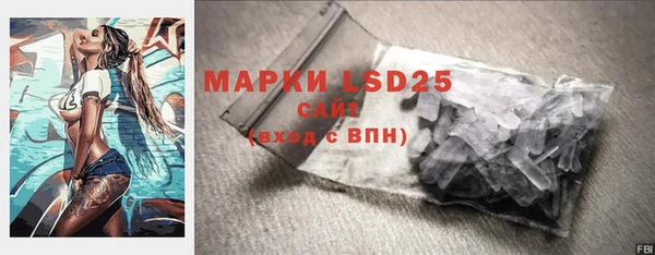 spice Дмитриев
