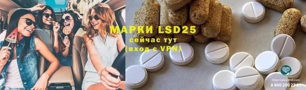 spice Дмитриев