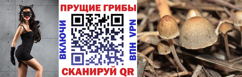 Галлюциногенные грибы мухоморы  Ершов 