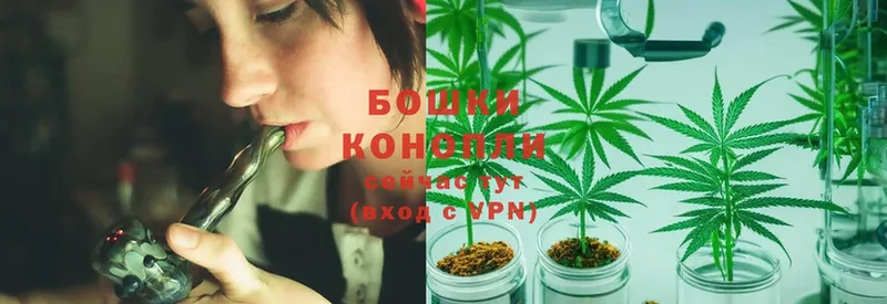 закладка  даркнет наркотические препараты  Бошки марихуана OG Kush  Ершов 